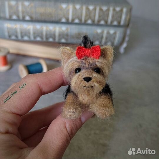 Йоркширский терьер. Миниатюрная игрушка собака,той
