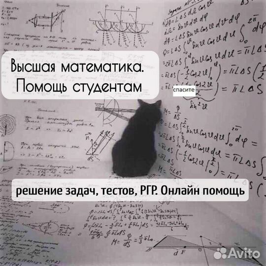 Решение задач и тестов по высшей математике