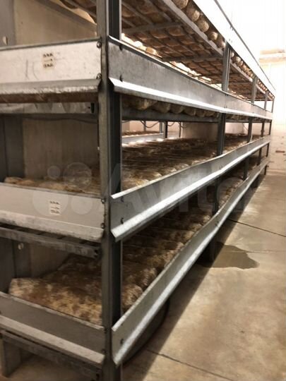 Производство, 10600 м²