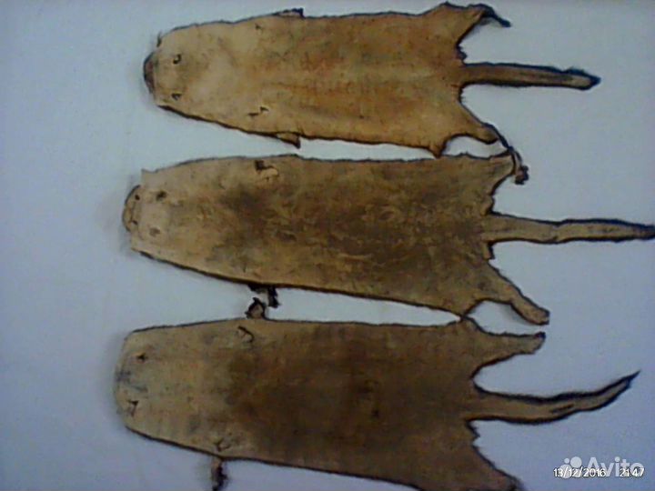 Шкурки лесной норки\\Размером 42x18см\\Цена за 1шт