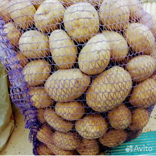 Продам картофель