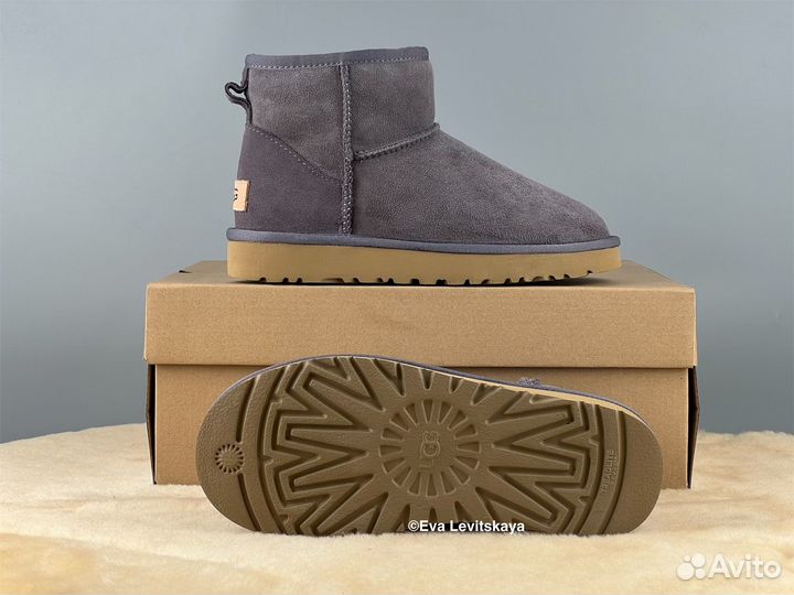 Угги женские Ugg Classic Mini II Shade