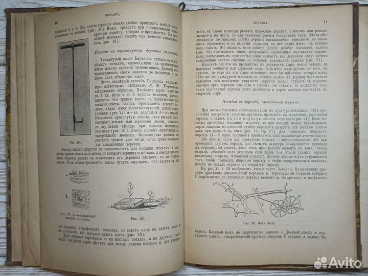 3 старинные книги 1893г. О лесе, лесном хозяйстве