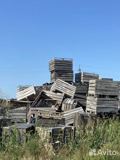 Деревянные ящики для овощей и фруктов б/у