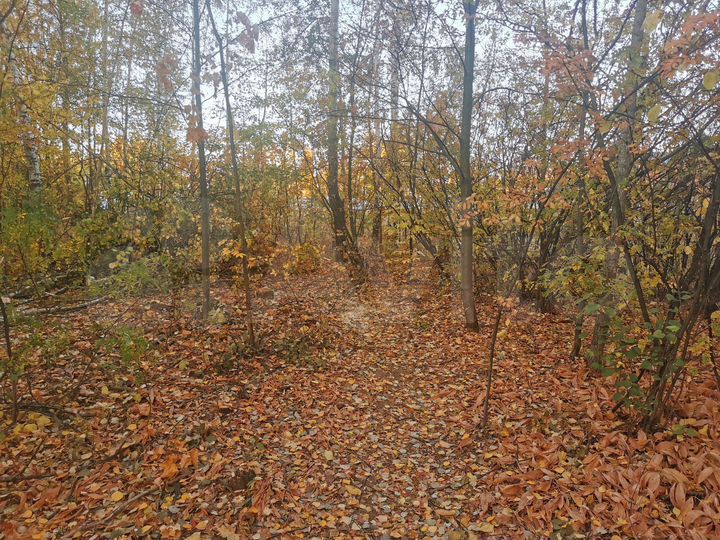 Участок 7,5 сот. (ИЖС)
