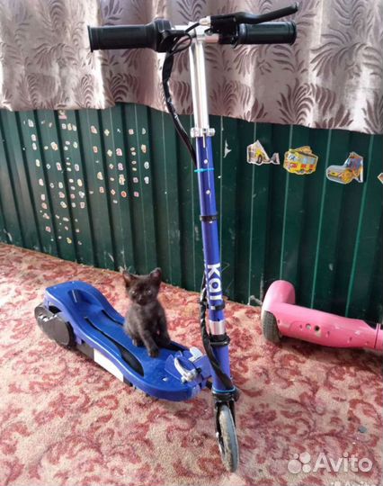 Гироскутер