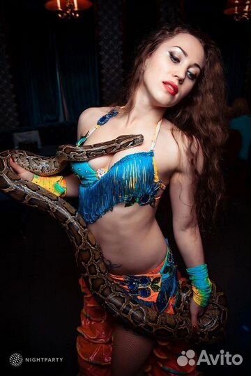 Восточный танец со змеёй, змея в аренду