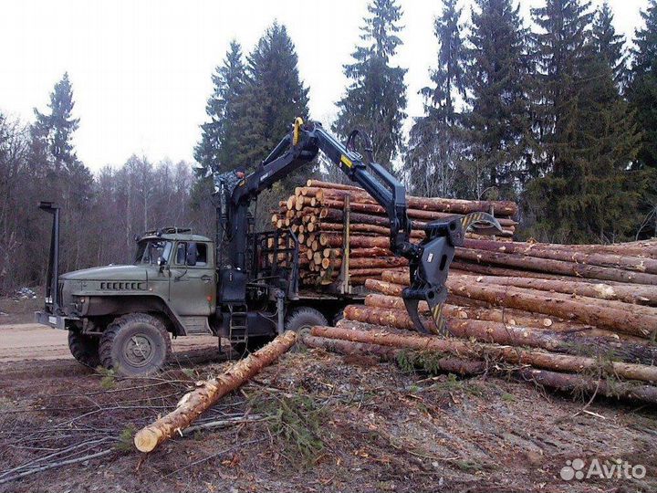 Строительство лежневых дорог. Вывозка. Валка леса