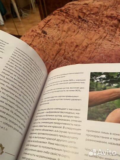 Учебник сомелье