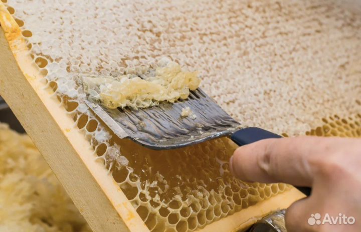 Воск пчелиный 2 кг (1 кг -700р.)