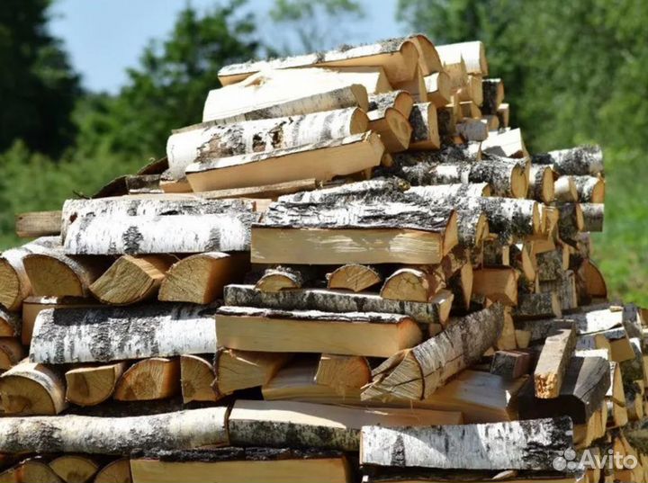 Дрова береза