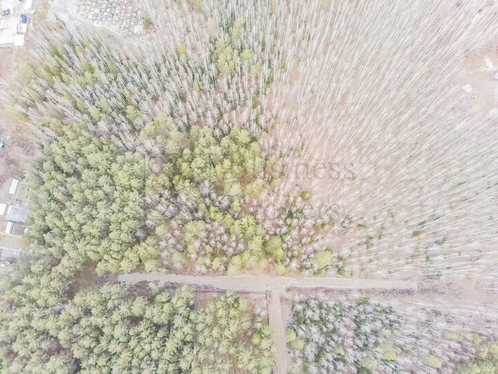 Участок 21 сот. (ИЖС)