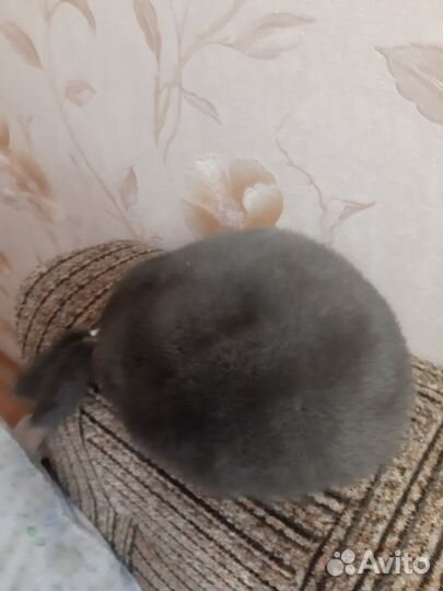 Шапка норковая женская