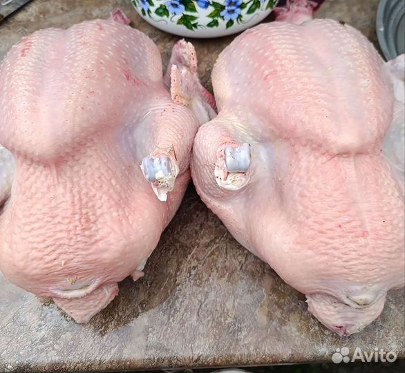 Продукты питания