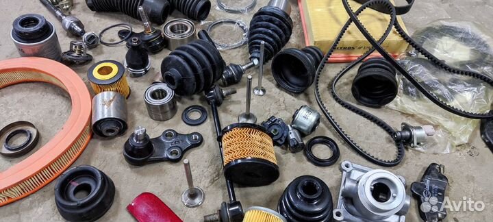 Витринные образцы для магазина автозапчастей