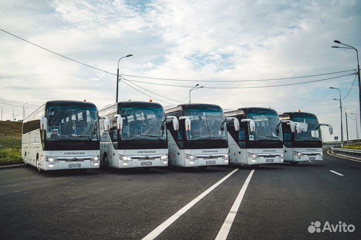 Водитель автобуса категория D