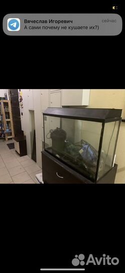 Аквариум