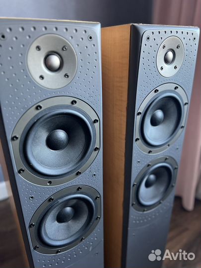 Bowers Wilkins DM 309 Напольные колонки