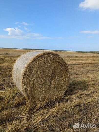 Солома в тюках