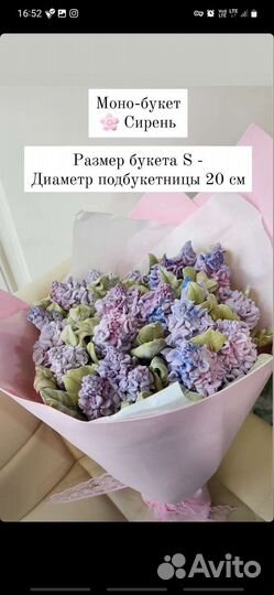 Зефир и Зефирные цветы