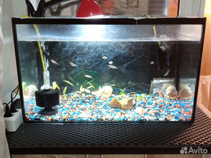 Аквариум с рыбками