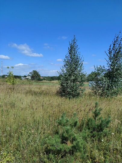 Участок 29 сот. (ИЖС)