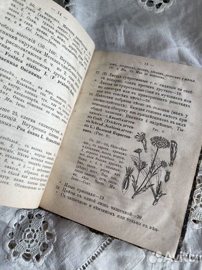 Антикварные книги Флора России