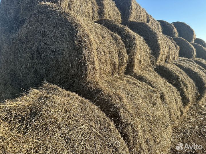 Сено в рулонах