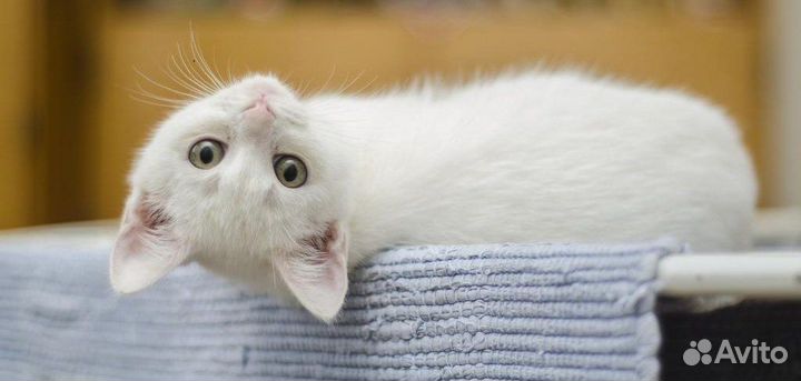 Камера видеонаблюдения с установкой