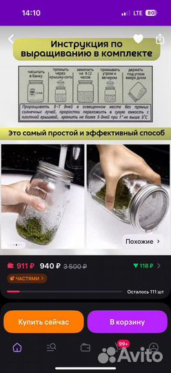 Банка для проращивания