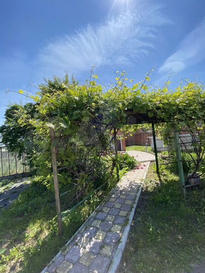 Дом 360 м² на участке 24 сот.