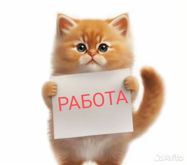 Комплектовщик вахта