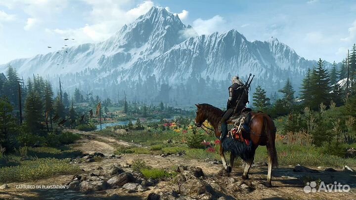 The Witcher 3: Wild Hunt Complete Edition (Б/У) PS