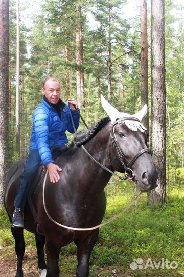 Внедрение стандартов сервиса для Загородного Отеля