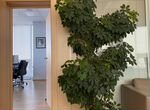 Уход за растениями в офисе, кафе, ресторане