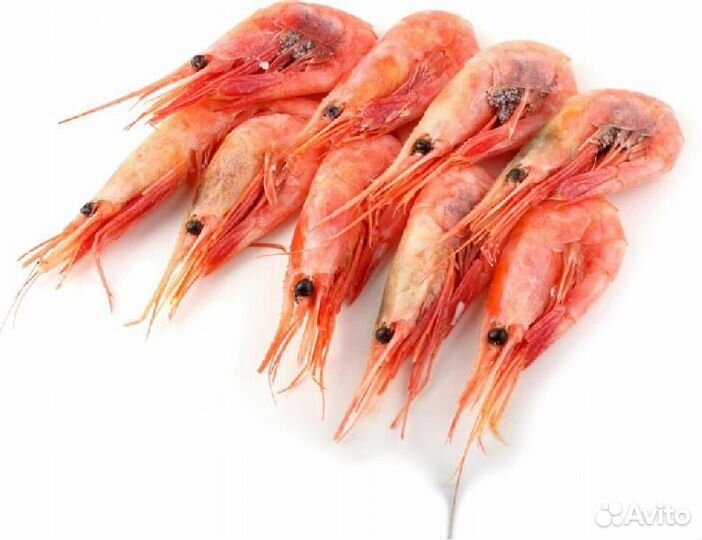 Креветки Северные 120+ Мурманск