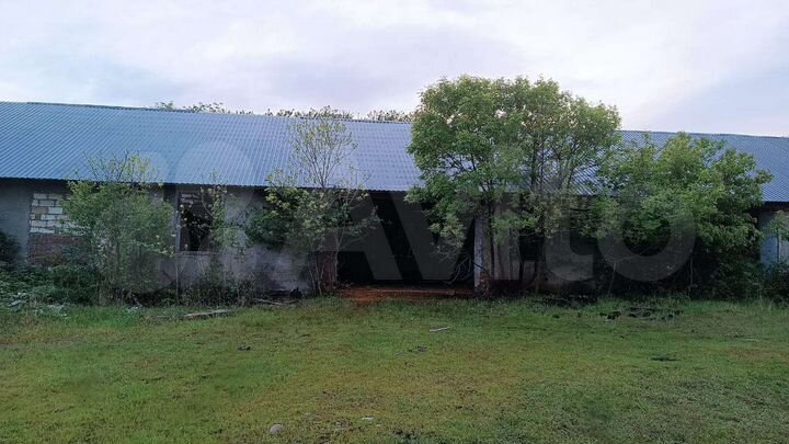 Участок 55,49 га (промназначения)