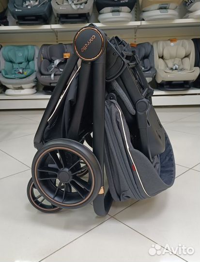 Коляска прогулочная Carrello Epica до 22 кг