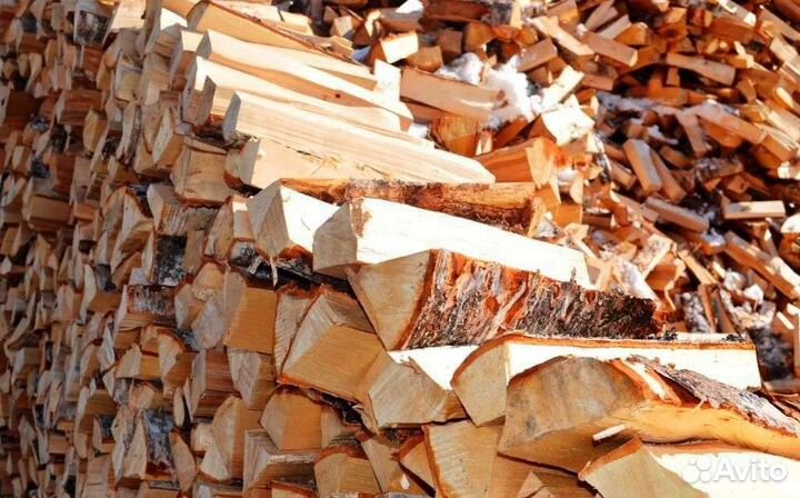 Дрова березовые