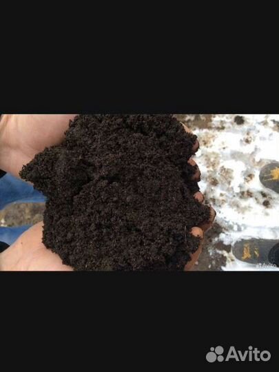 Чернозем конский перегной в мешках