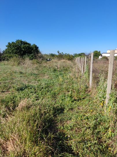 Участок 24 сот. (ИЖС)