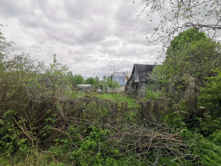 Участок 6 сот. (СНТ, ДНП)