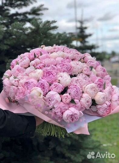 Пионы Букет пионов