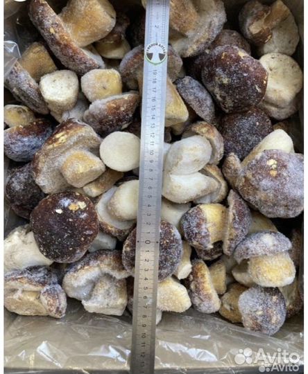 Замороженные белые грибы