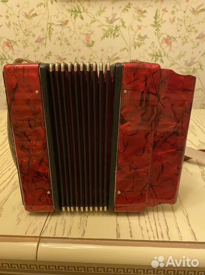 Гармонь Теза Шуя