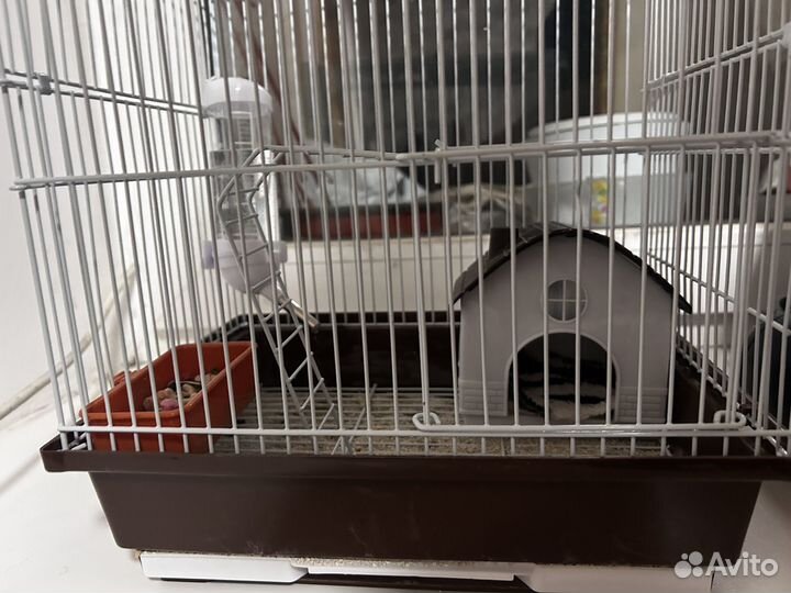 Клетка для грызунов
