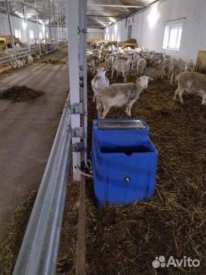 Поилки для крс. Рассрочка. Лизинг