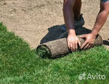 Гидропосев