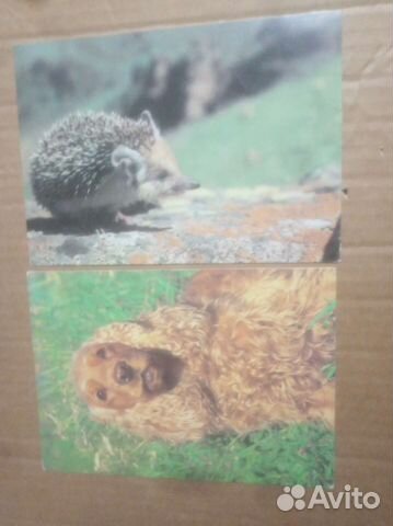 Открытки СССР