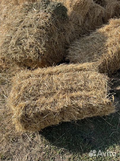 Солома из проса